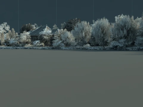 Garden 3D Model