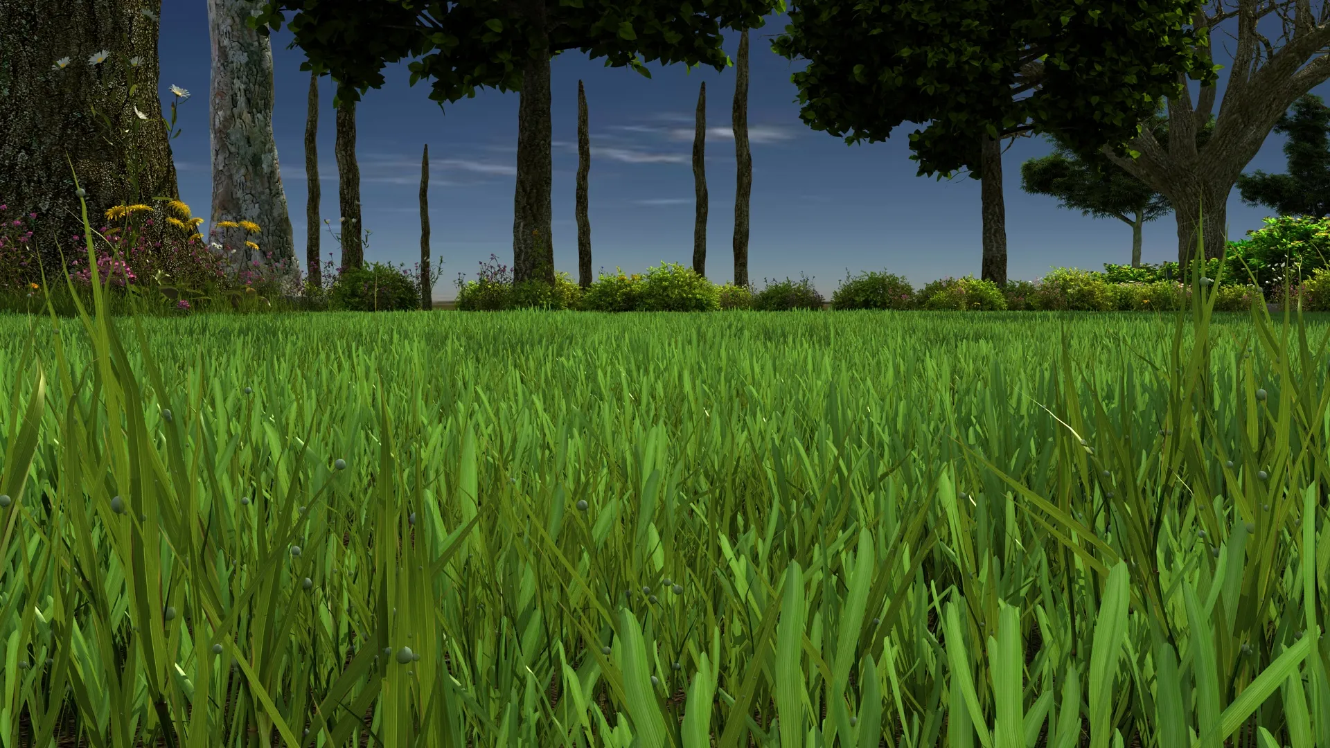 Grassland 3D Model .c4d .max .obj .3ds .fbx .stl .blend 