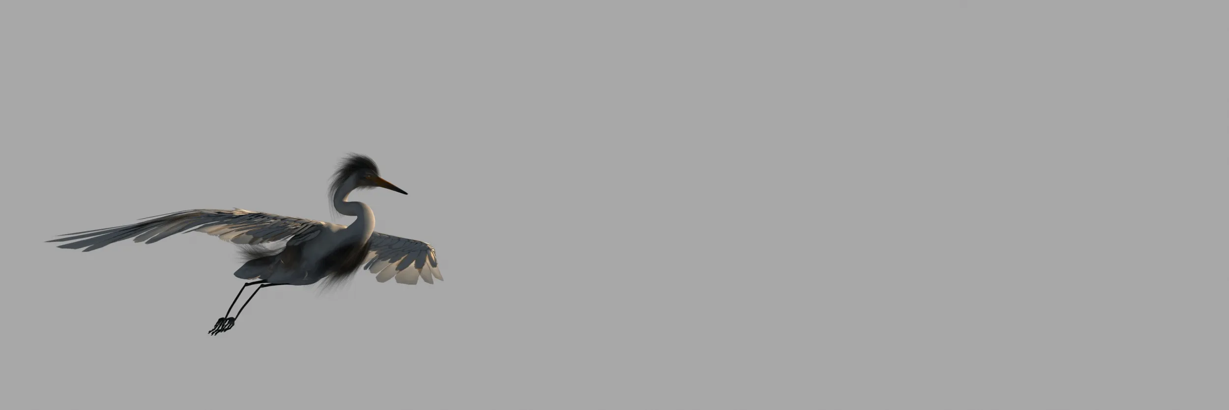 Egret 3D Model .c4d .max .obj .3ds .fbx .stl .blend 