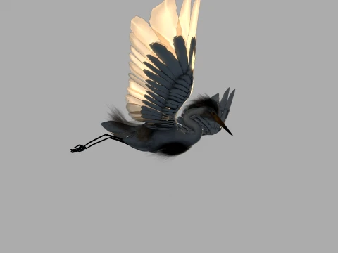 Egret 3D Model