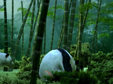 Panda Reserve 3D Model