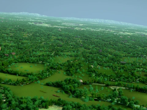 Wetland 3D Model