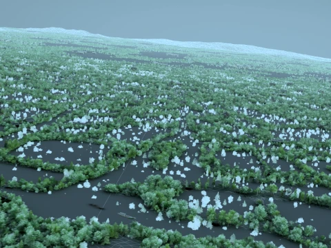Wetland 3D Model