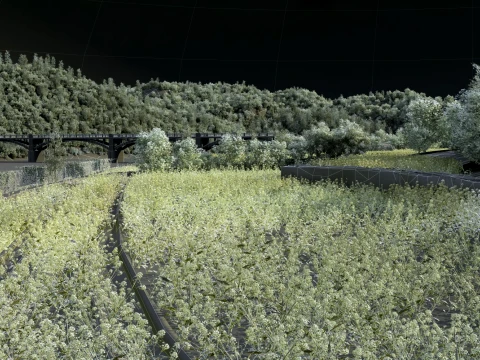 Countryside 3D Model
