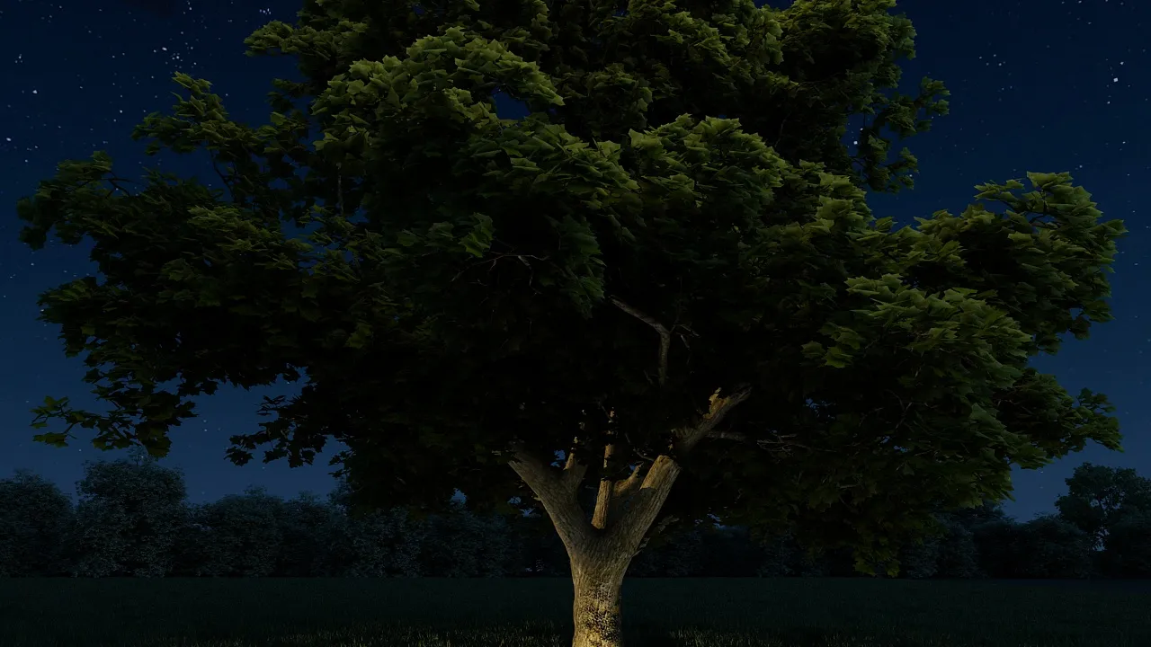 Woods 3D Model .c4d .max .obj .3ds .fbx .stl .blend 