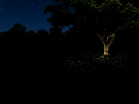 Woods 3D Model