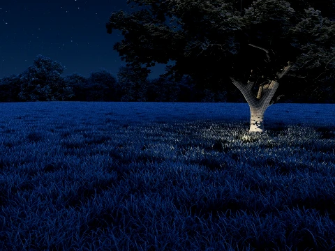 Woods 3D Model