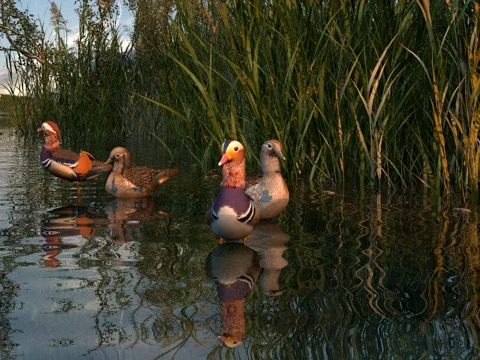 Wetland 3D Model
