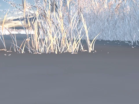 Wetland 3D Model