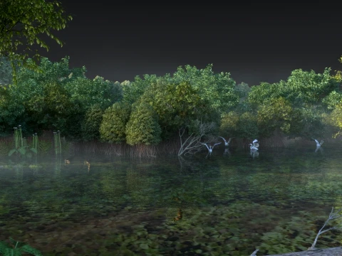 Wetland 3D Model