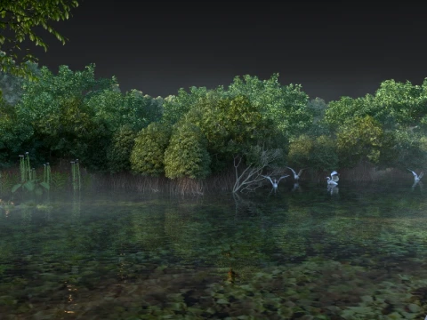Wetland 3D Model