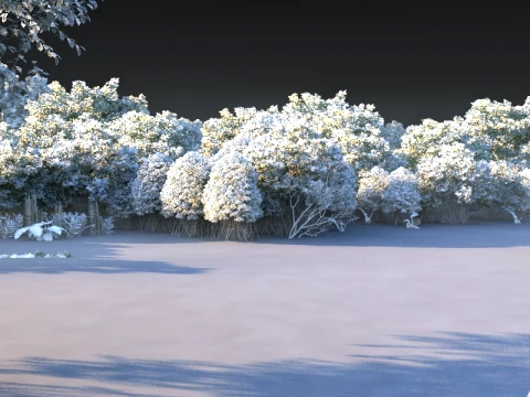 Wetland 3D Model