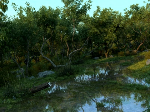 Wetland 3D Model