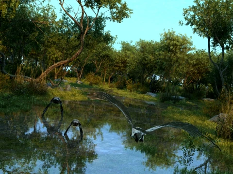 Wetland 3D Model