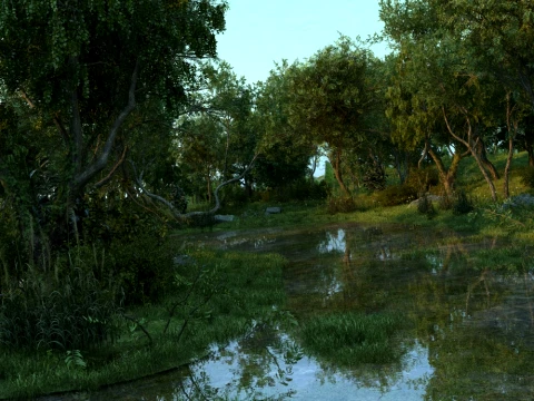 Wetland 3D Model