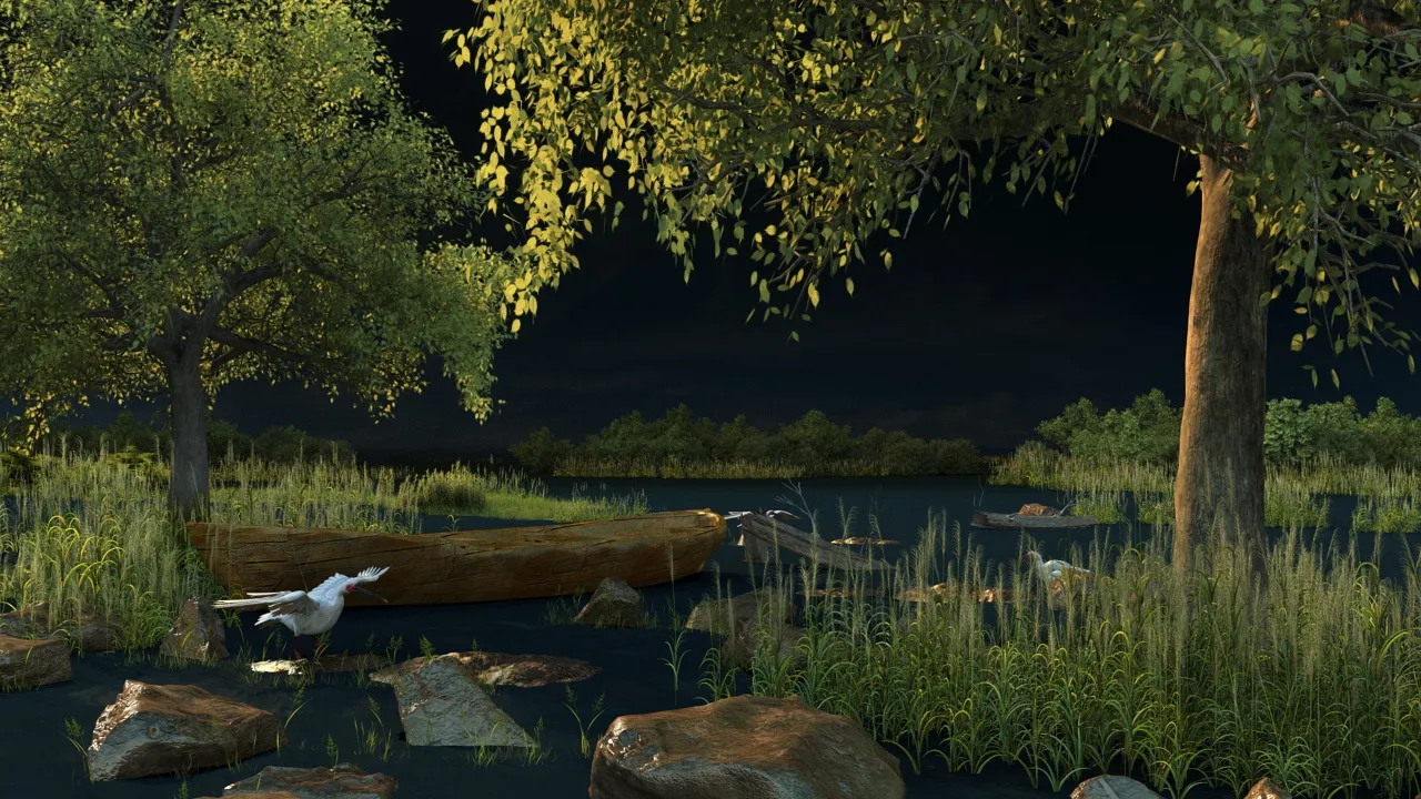 Wetland 3D Model .c4d .max .obj .3ds .fbx .stl .blend 