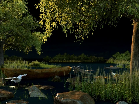Wetland 3D Model