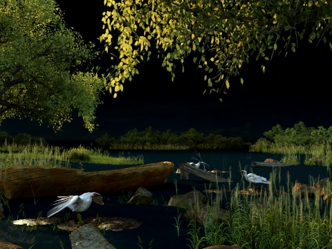 Wetland 3D Model