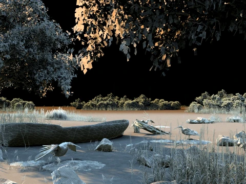 Wetland 3D Model