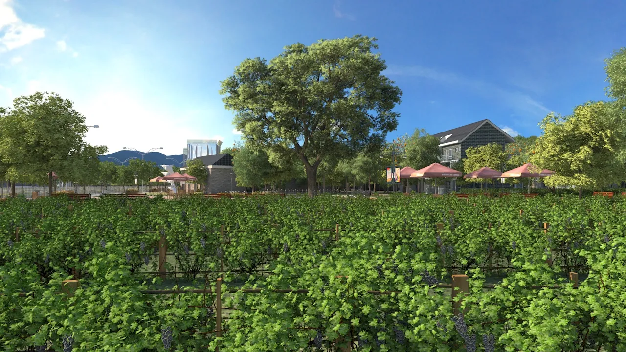 Vineyard 3D Model .c4d .max .obj .3ds .fbx .stl .blend 