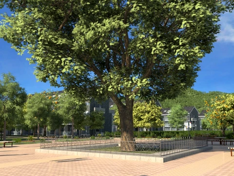Vineyard 3D Model