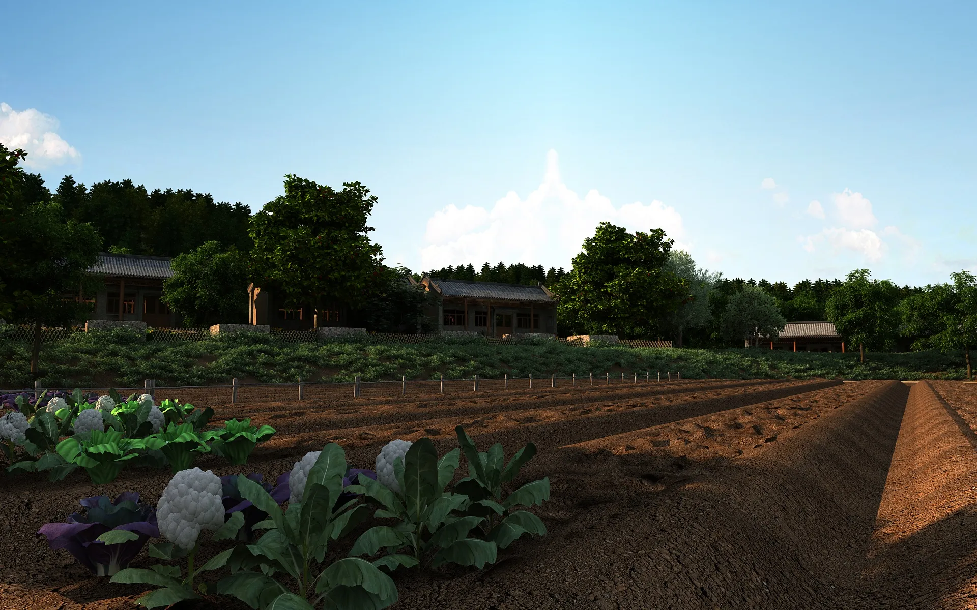 Farmland 3D Model .c4d .max .obj .3ds .fbx .stl .blend 