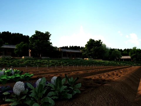 Farmland 3D Model