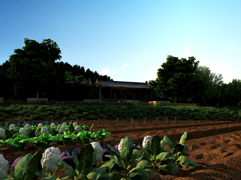 Farmland 3D Model