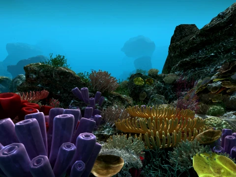 Undersea 3D Model