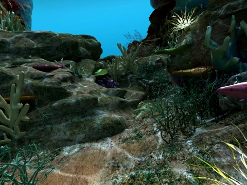 Undersea 3D Model