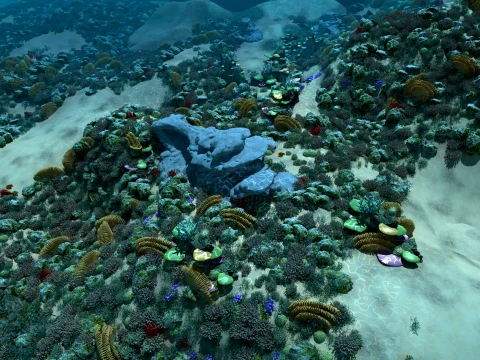 Undersea 3D Model