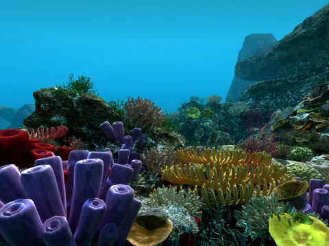 Undersea 3D Model