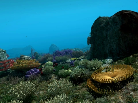 Undersea 3D Model