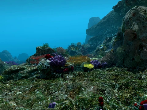 Undersea 3D Model