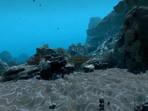 Undersea 3D Model