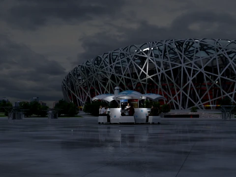 Birds Nest Stadium 3D Model