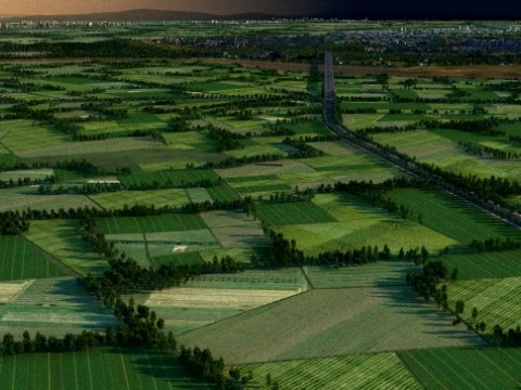 農地 3Dモデル