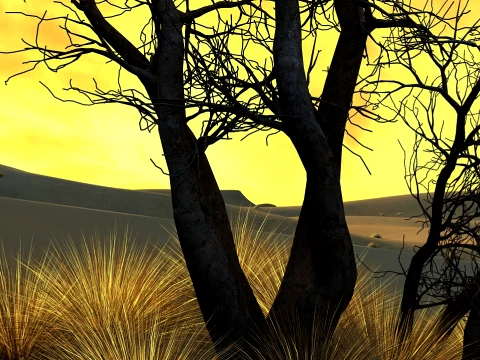 Desert 3D Model
