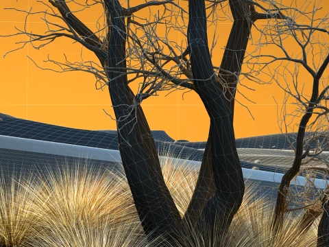 Desert 3D Model