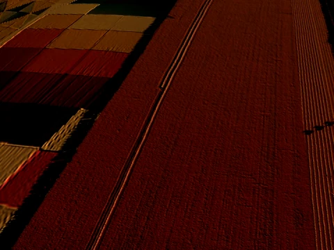 Tarım arazisi 3D Model