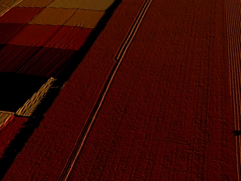 Terres agricoles Modèle 3D