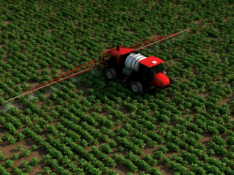 Tarım arazisi 3D Model