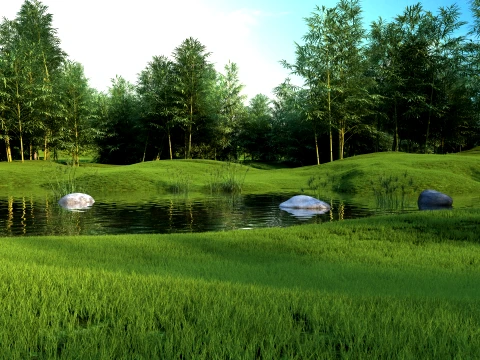 Pond 3D Model