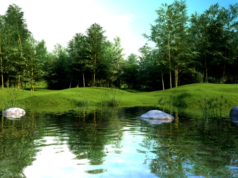 Pond 3D Model