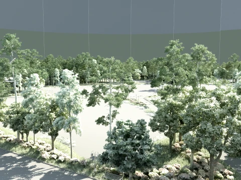 Park 3D Model