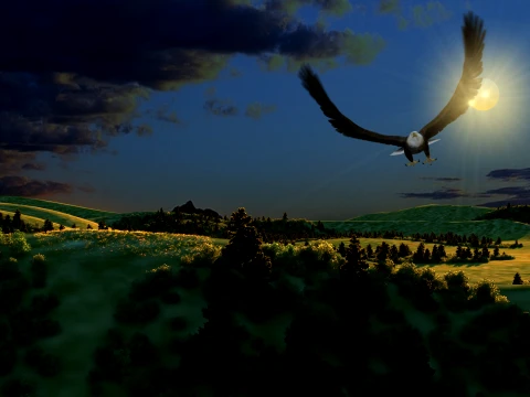 Eagle 3D Model