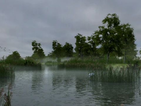 Wetland 3D Model
