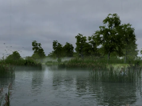 Wetland 3D Model