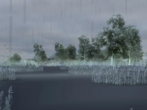 Wetland 3D Model