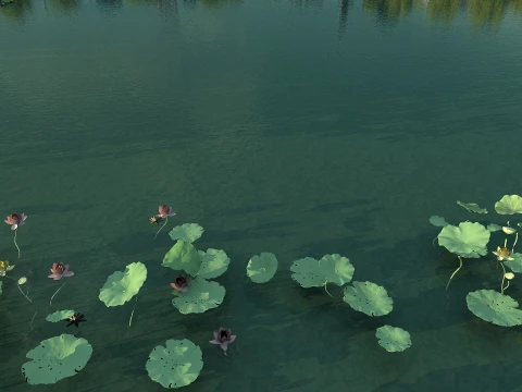 Pond 3D Model